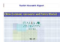 The Chinese Accessories Sector