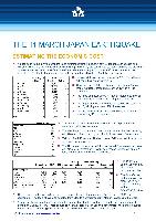 Japan: Brief Outlook, 2011, focus on Air Transport