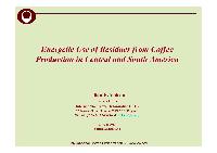 Coffee Sector in Switzerland