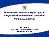The European Television Broadcasting Business