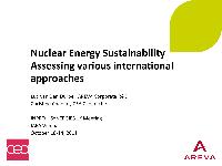 Nuclear Energy Market in France