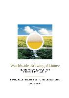 Beer Business Overview