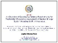 The Indonesian Nuclear Energy Sector