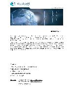 Satellite Business Brief