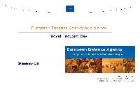 The European Defence Industry