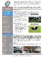 Company Report: Milk in China for Year 2011