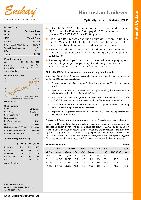 Company Report: Detergent in India for Year 2011