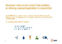 Nuclear Energy Industry  in Austria and France