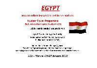 The Egyptian Nuclear Power Industry