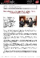 AME Info - Company Report for Year 2012