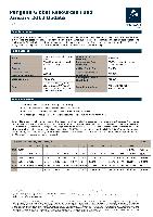 Company Report: Metal and Mineral in Australia and The United States for Year 2011