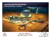 Liquid Natural Gas Industry