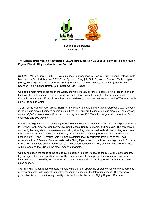 The Chinese Clean Vehicle Industry Brief