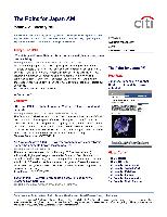 Company Report: Synthetic Material in Japan for Year 2012