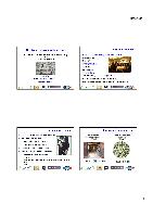 Company Report: Incubator in The Czech Republic and The United States for Year 2012