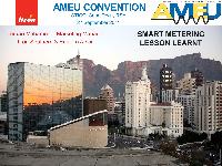 Electricity Meter Sector Overview