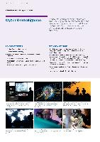 Bae Systems Inc. - Company Report for Year 2011