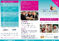 The British Food Services Industry Brief