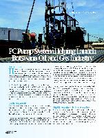 The Botswanan Pump Industry Brief