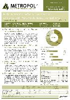 Company Report: Helicopter in Russian Federation for Year 2011