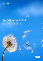 Company Report: Motor Insurance in Germany for Year 2011