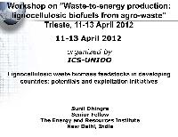 Renewable Energy Industry  in India and China