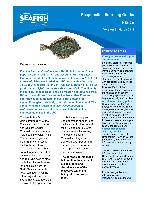 Plaice Sector in Europe