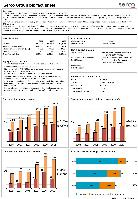 Company Report: It Services for Year 2011