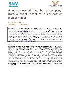 The Burkinabe Butter Industry Brief