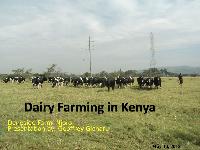 The Kenyan Dairy Products and Egg Business