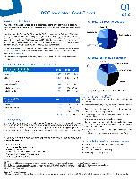 Company Report: Wireless Technology in Canada for Year 2011